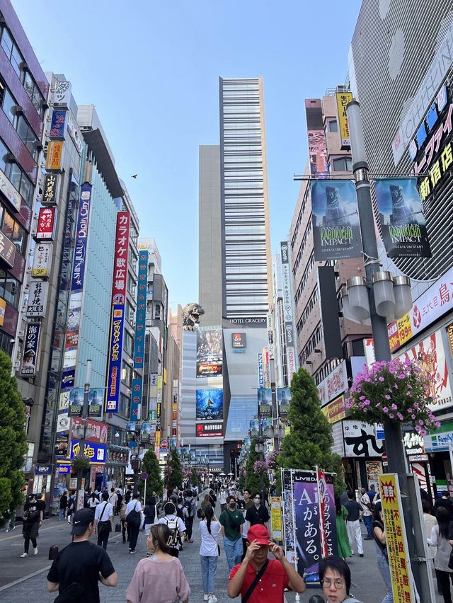 เมืองที่ไม่เคยหลับไหล Shinjuku, Tokyo