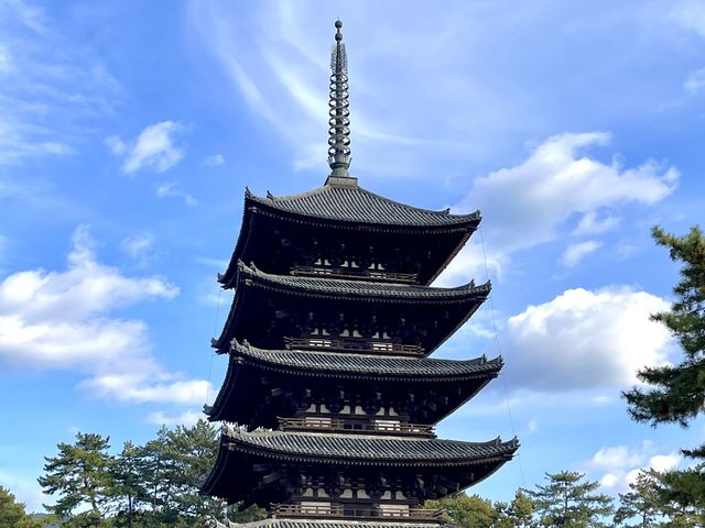 วัดโคฟุคุจิ เจดีย์ 5 ชั้น จ.นารา Kofukuji Temple