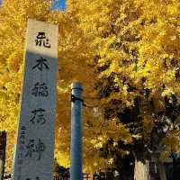 兩個東京巿區隱敞超美銀杏神社