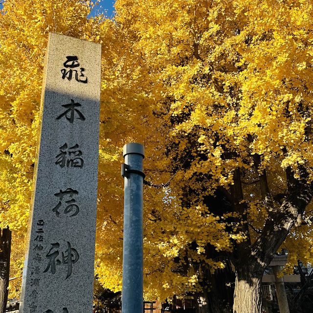兩個東京巿區隱敞超美銀杏神社