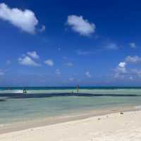 A Perfect Oasis and memorable experience 
