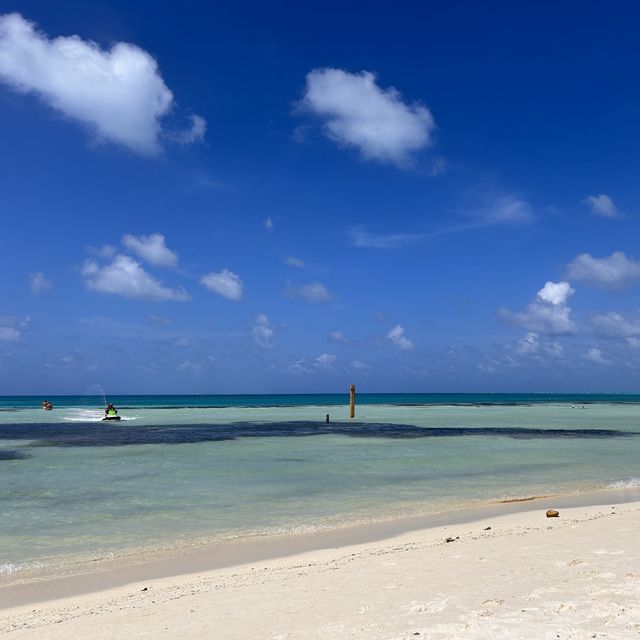 A Perfect Oasis and memorable experience 