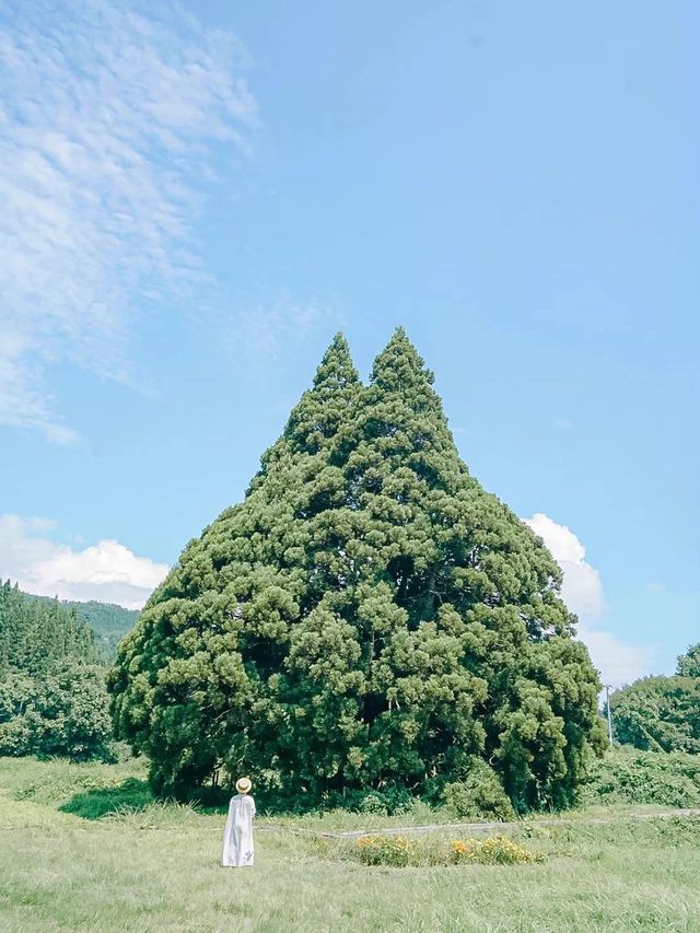 【完全保存版📍】山形女子旅おすすめ映えスポット6選👭🌸🌲
