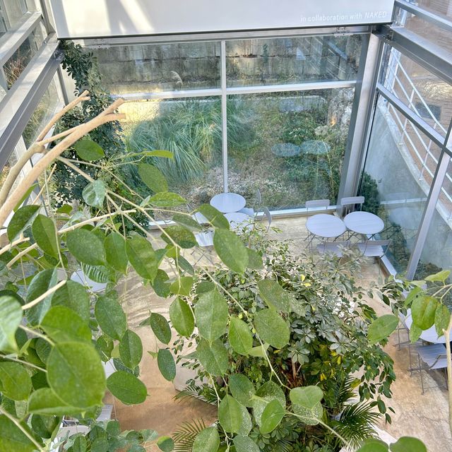힐링 가득 숲속 온실 정원st 카페🌿[수영 어반플랜트]