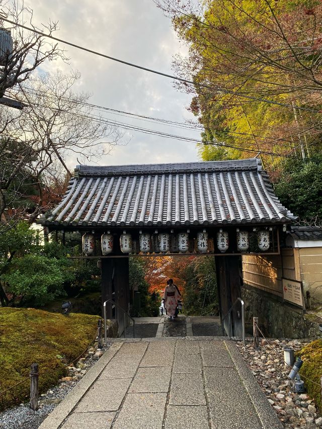 Temple hopping in Kyoto ‼️