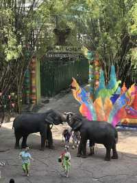 Safari World