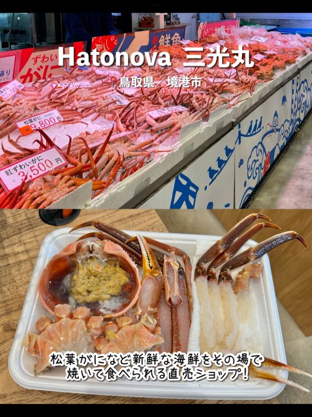 【鳥取】行ってよかった鳥取のおすすめ観光スポット7選