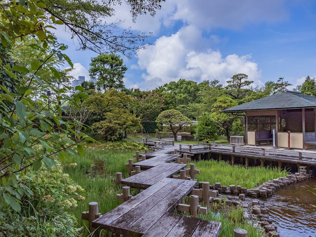 Sunpu Castle Park Momijiyama Garden 