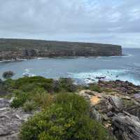 Royal national Watamolla beach Sydney Austral