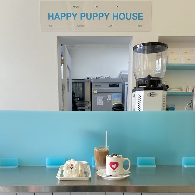 韓国:漢南洞˗ˏˋ HAPPY PUPPY HOUSE ˎˊ˗