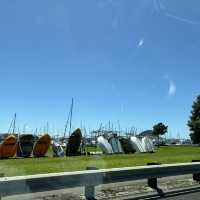 Captivated by Tauranga’s beauty 