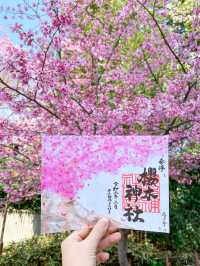 【千葉】桜の時期に訪れたくなる櫻木神社