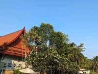 Ma Doo Bua l มา ดู บัว ภูเก็ต