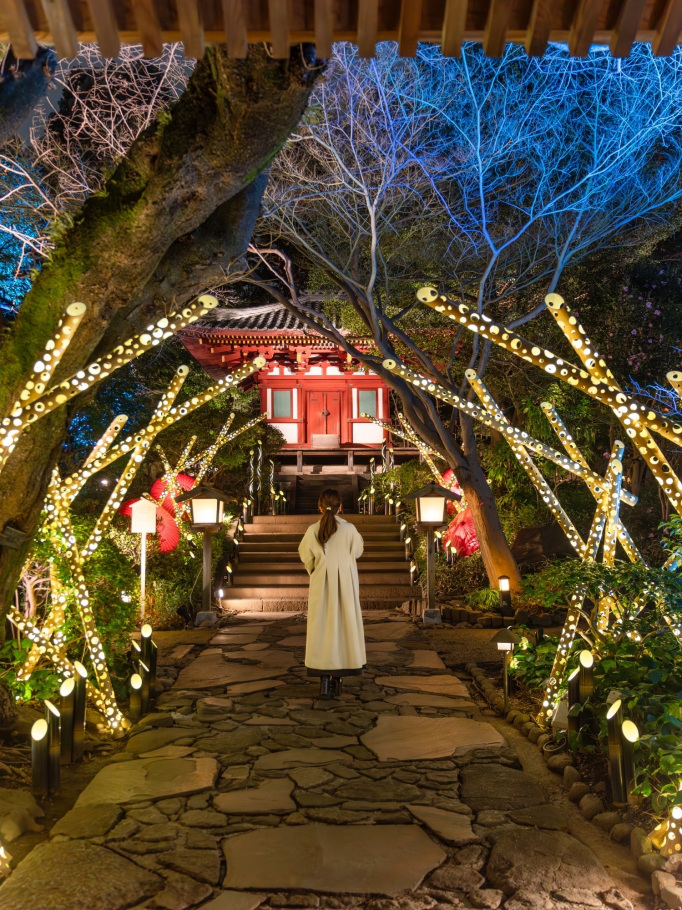 春の竹あかりイベント！🎋】竹あかりで作られた桜の花びらが可愛すぎる