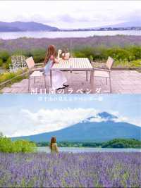 ラベンダーと富士山が見える河口湖の絶景スポット