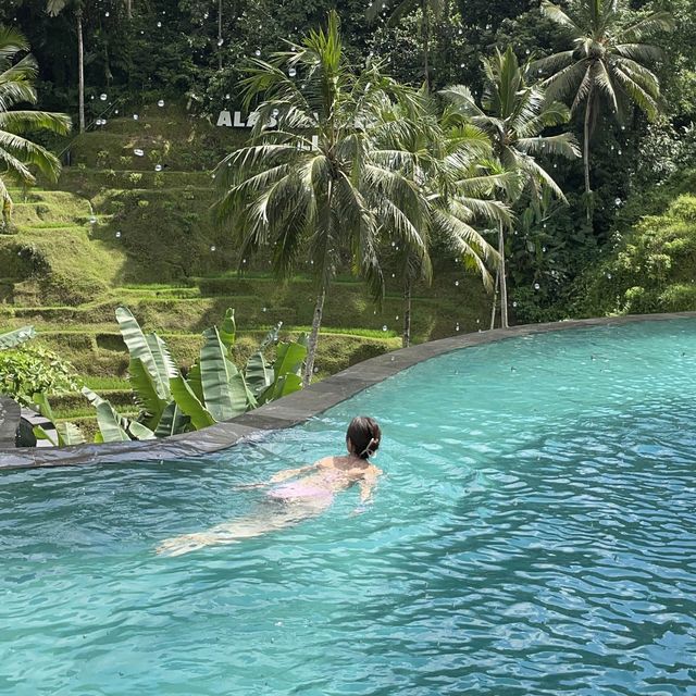 단돈 5천원에 즐기는 정글 속 수영장🏊‍♂️💚