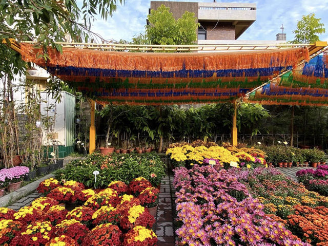 Amazing Tianwei Phoenix Garden