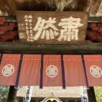 人吉！圧倒！絶対いくべき茅葺きの国宝指定神社