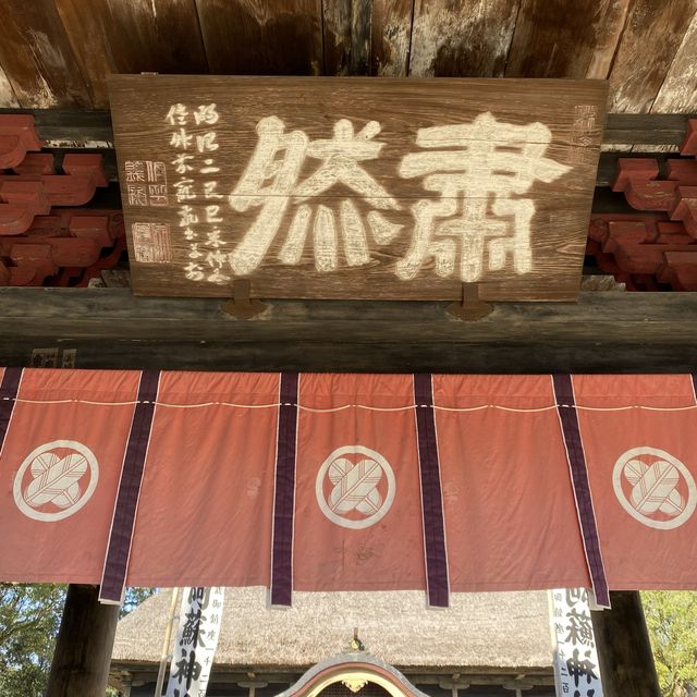 人吉！圧倒！絶対いくべき茅葺きの国宝指定神社