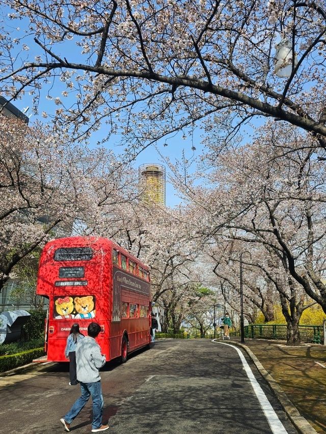 벚꽃놀이 가기 좋은 대구 이월드 83타워