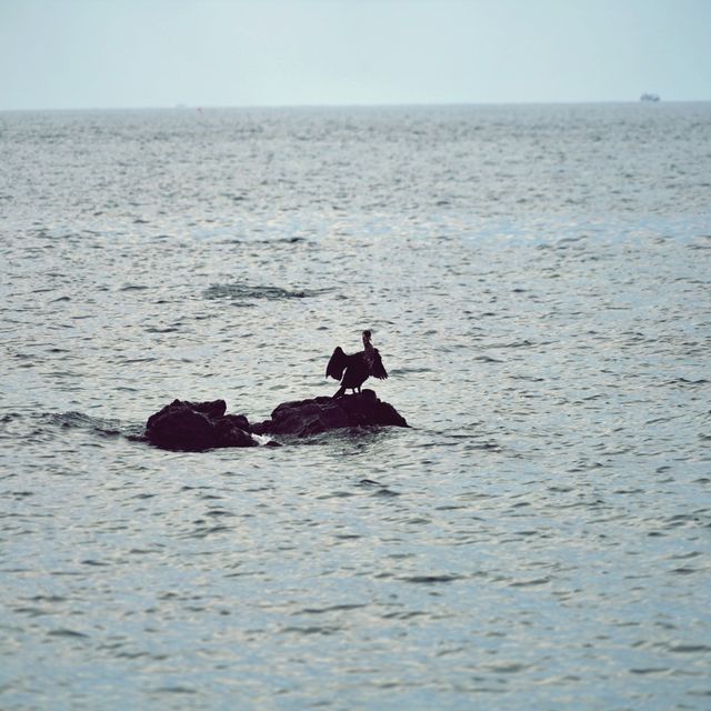 🌊 알작지, 제주의 숨겨진 몽돌 해변