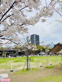【大阪】天王寺てんしばの桜