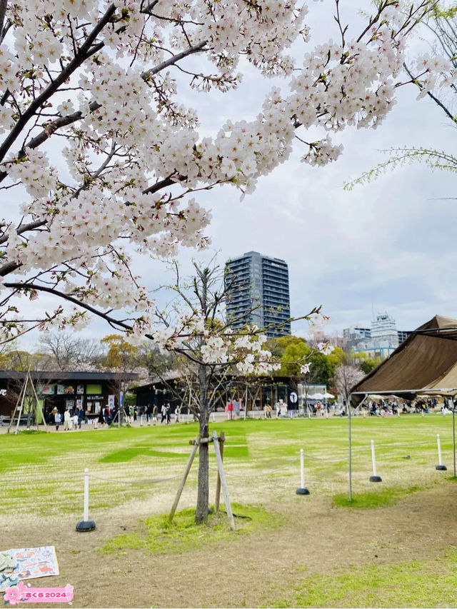 【大阪】天王寺てんしばの桜