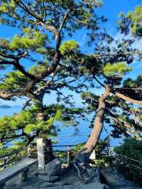 【パワースポット】島全体が神域！竹島の八百富神社⛩