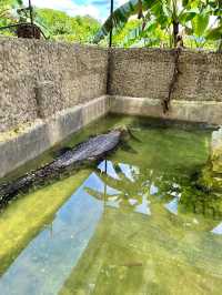 Jong's Crocodile Farm