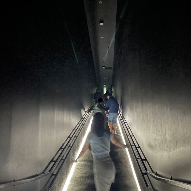 🇯🇵【東京】teamLab Planets TOKYO