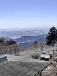 【大山阿夫利神社/神奈川県】春は華やかな枝垂れ桜のもとで参拝