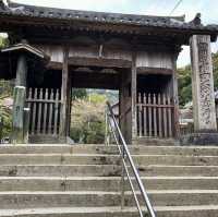 藤井寺（ふじいでら）