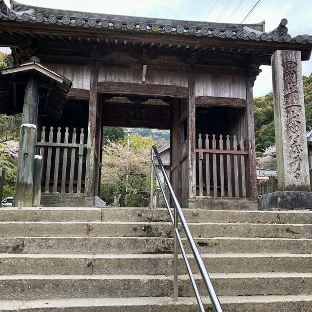 藤井寺（ふじいでら）