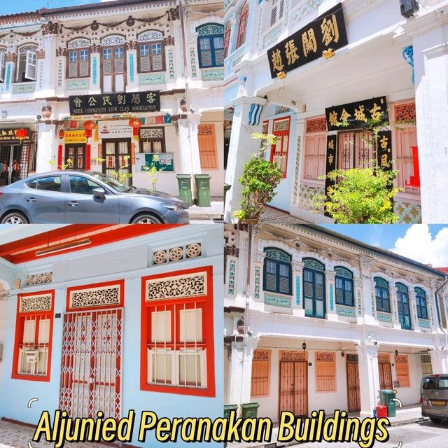 Aljunied Peranakan Buildings