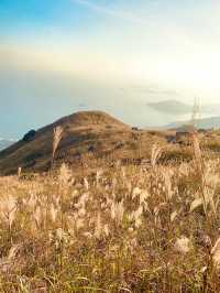 大東山：時節之變，山與星的對話