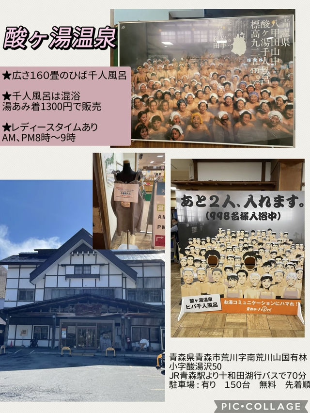 【青森】春は新緑の奥入瀬へ・・ONE DAYプラン