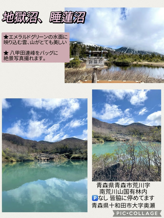 【青森】春は新緑の奥入瀬へ・・ONE DAYプラン