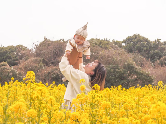 フォトスポットたくさん！伊良湖菜の花ガーデン