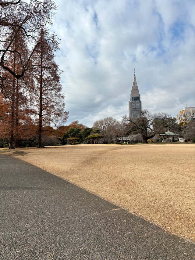 Shinjuku Gyoen National Garden