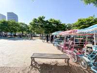 汝矣島漢江公園(여의도한강공원) - 首爾