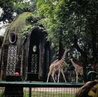 The Tobu Zoo