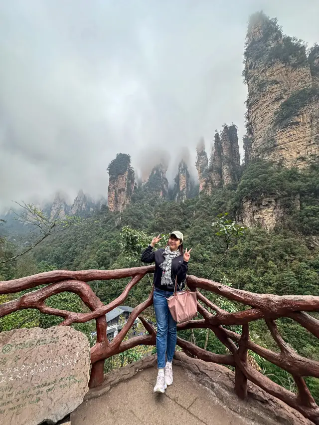 尋找阿凡達的山脈