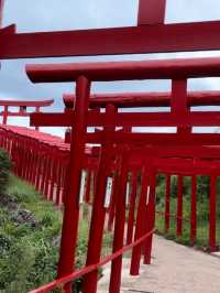 【山口観光】100m続く赤い鳥居のトンネルがある神社⛩