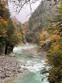 🚂 Kurobe Gorge ทางรถไฟสุดโรแมนติกในญี่ปุ่น