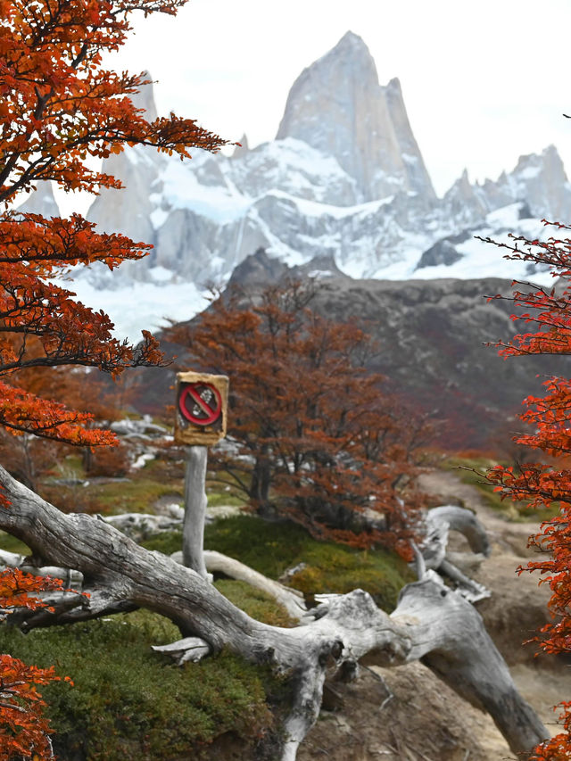 มีเหตุผลอะไรที่ครั้งหนึ่งในชีวิตจะไม่มา Patagonia