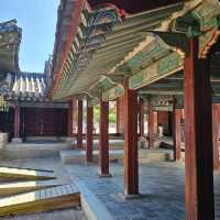 조선왕실의 별궁 창경궁 + 고궁&숲&연못 산책🖼