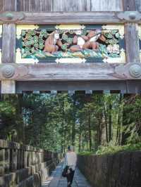 【日光】~栃木旅~おすすめグルメとフォトスポット