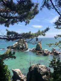 추암 촛대바위, 동해의 숨은 보물 🌊🌿