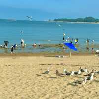 당일치기 당진 여행 주차 가능 해수욕장, 왜목마을 해변⛱️