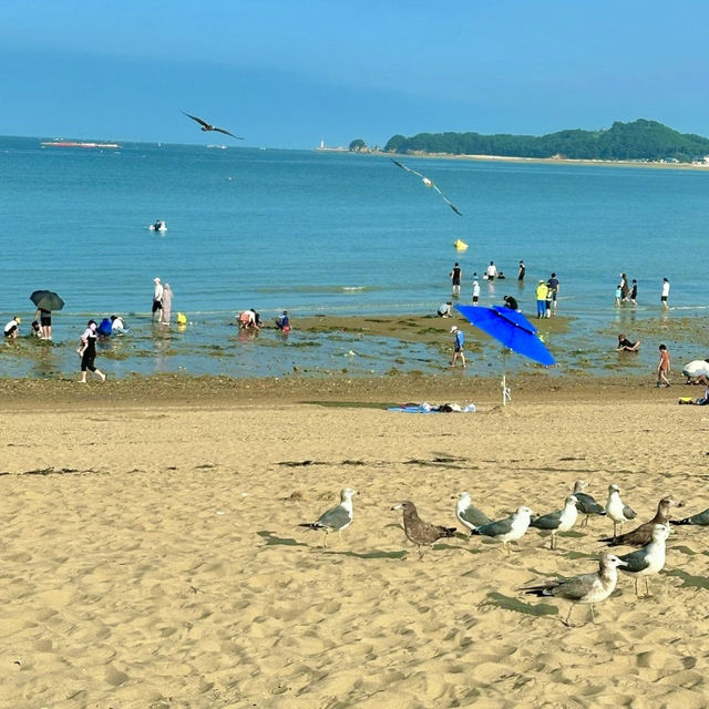 당일치기 당진 여행 주차 가능 해수욕장, 왜목마을 해변⛱️